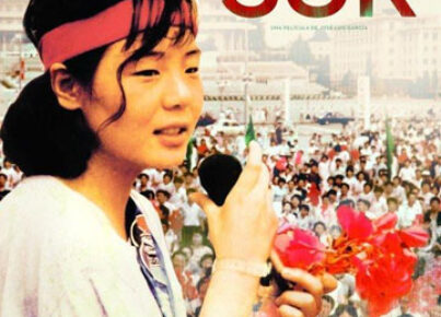 La chica del sur (2012)