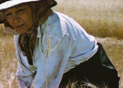 Tierra de rastrojos-1980