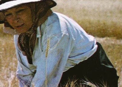 Tierra de rastrojos-1980