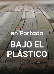 Bajo el plástico