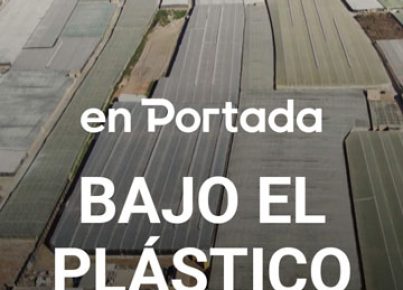 Bajo el plástico-2023