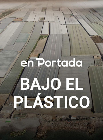 Bajo el plástico